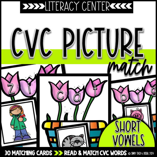 CVC Word to Picture Match